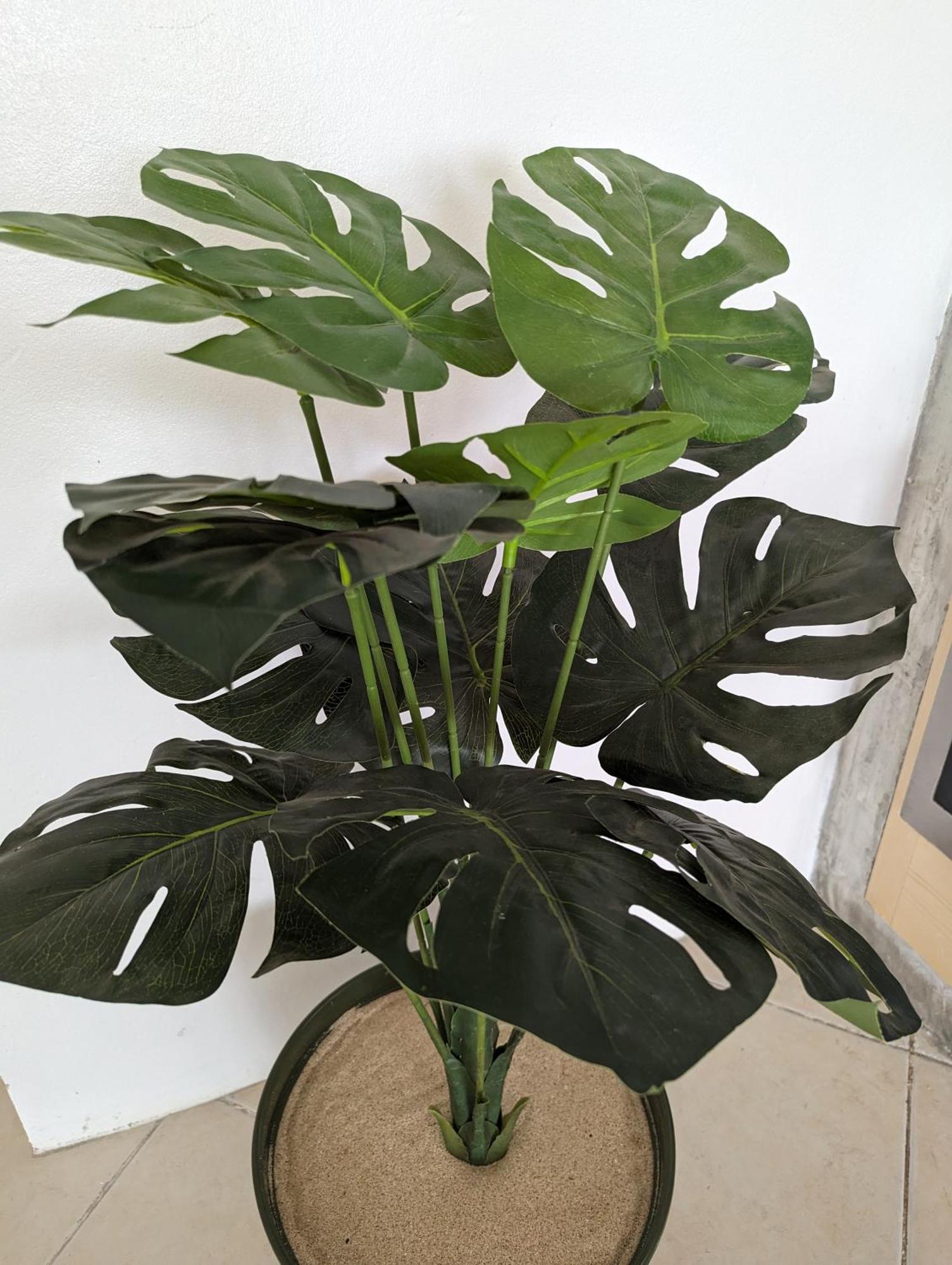 Tropical Leaves Sea View Penthouse Ca Greta 2 Floor Apartman Sal Rei Kültér fotó